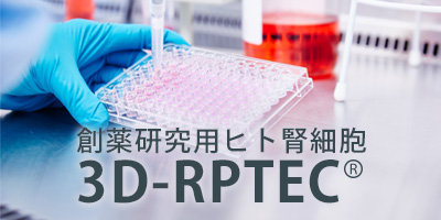 創薬研究用ヒト腎細胞 3D-RPTEC®